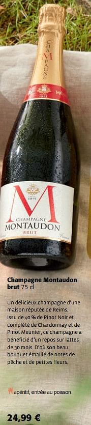 Promotions Champagne montaudon brut - Champagne - Valide de 07/04/2021 à 20/04/2021 chez Colruyt