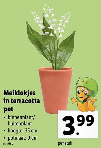 Promoties Meiklokjes in terracotta pot - Huismerk - Lidl - Geldig van 19/04/2021 tot 24/04/2021 bij Lidl