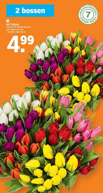 Promoties Ah tulpen - Huismerk - Albert Heijn - Geldig van 12/04/2021 tot 18/04/2021 bij Albert Heijn