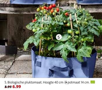 Promotions Biologische pluktomaat - Produit maison - Intratuin - Valide de 12/04/2021 à 18/04/2021 chez Intratuin