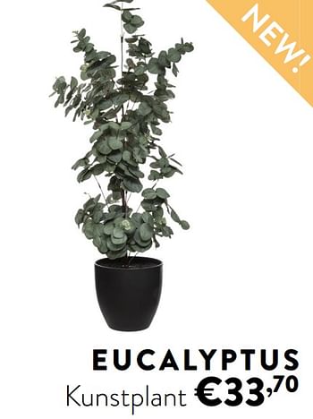 Promoties Eucalyptus kunstplant - Huismerk - Ygo - Geldig van 12/04/2021 tot 30/04/2021 bij Ygo