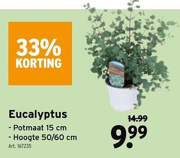 Promoties Eucalyptus - Huismerk - Gamma - Geldig van 14/04/2021 tot 27/04/2021 bij Gamma