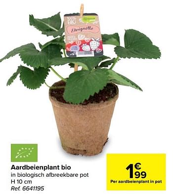 Promotions Aardbeienplant bio - Produit maison - Carrefour  - Valide de 14/04/2021 à 26/04/2021 chez Carrefour