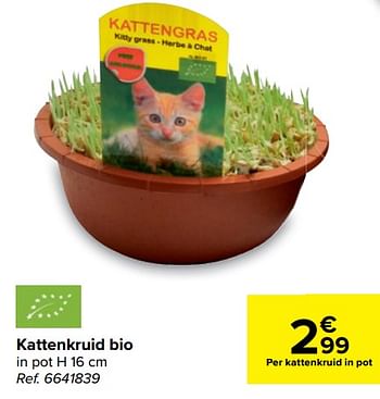 Promoties Kattenkruid bio - Huismerk - Carrefour  - Geldig van 14/04/2021 tot 26/04/2021 bij Carrefour