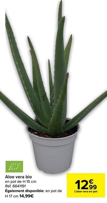 Promotions Aloe vera bio - Produit maison - Carrefour  - Valide de 14/04/2021 à 26/04/2021 chez Carrefour