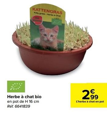 Produit Maison Carrefour Herbe A Chat Bio En Promotion Chez Carrefour