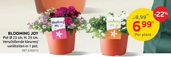 Promoties Blooming joy - Huismerk - Brico - Geldig van 21/04/2021 tot 03/05/2021 bij Brico