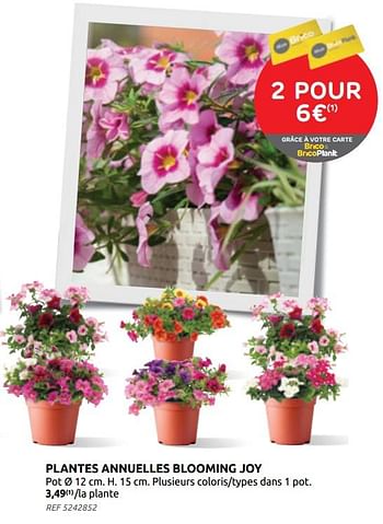 Promotions Plantes annuelles blooming joy - Produit maison - Brico - Valide de 21/04/2021 à 03/05/2021 chez Brico