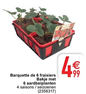 Promoties Barquette de 6 fraisiers bakje met 6 aardbeiplanten - Huismerk - Cora - Geldig van 20/04/2021 tot 03/05/2021 bij Cora