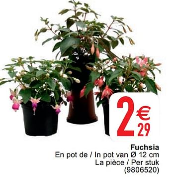 Promotions Fuchsia - Produit maison - Cora - Valide de 20/04/2021 à 03/05/2021 chez Cora