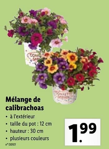 Promoties Mélange de calibrachoas - Huismerk - Lidl - Geldig van 03/05/2021 tot 08/05/2021 bij Lidl
