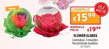 Promoties Flower globes - Huismerk - Trafic  - Geldig van 05/05/2021 tot 09/05/2021 bij Trafic