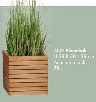 Promoties Ana bloembak - Huismerk - Casa - Geldig van 03/05/2021 tot 13/06/2021 bij Casa