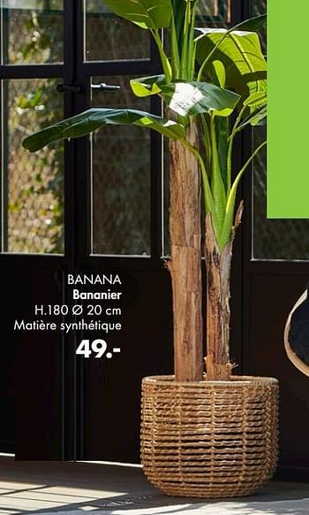 Promotions Banana bananier - Produit maison - Casa - Valide de 03/05/2021 à 13/06/2021 chez Casa