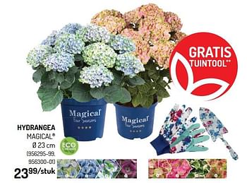 Promoties Hydrangea magical - Huismerk - Oh'Green - Geldig van 12/05/2021 tot 23/05/2021 bij Oh'Green
