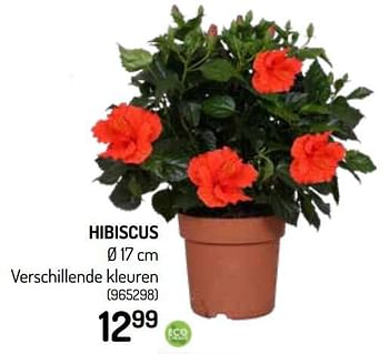 Promoties Hibiscus - Huismerk - Oh'Green - Geldig van 09/06/2021 tot 20/06/2021 bij Oh'Green