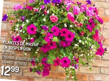 Promotions Plantes de massif en suspension - Produit Maison - Oh'Green - Valide de 09/06/2021 à 20/06/2021 chez Oh'Green
