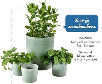 Promoties Bambus set van 4 bloempotten - Huismerk - Casa - Geldig van 12/06/2021 tot 01/08/2021 bij Casa