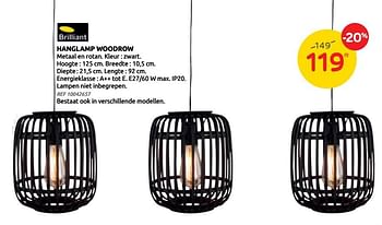 Promoties Hanglamp woodrow - Brilliant - Geldig van 23/06/2021 tot 05/07/2021 bij Brico