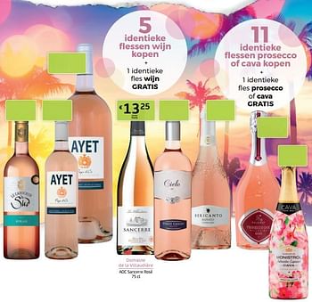Promoties Domaine de la villaudière aoc sancerre rosé - Rosé wijnen - Geldig van 18/06/2021 tot 01/07/2021 bij BelBev