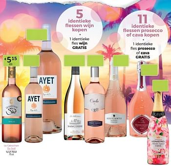 Promoties Le cabochon du sud syrah rosé - Rosé wijnen - Geldig van 18/06/2021 tot 01/07/2021 bij BelBev