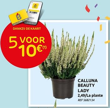 Promoties Calluna beauty lady - Huismerk - Brico - Geldig van 08/09/2021 tot 20/09/2021 bij Brico