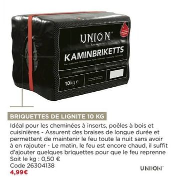 Union Briquettes de lignite - En promotion chez Brico Marché
