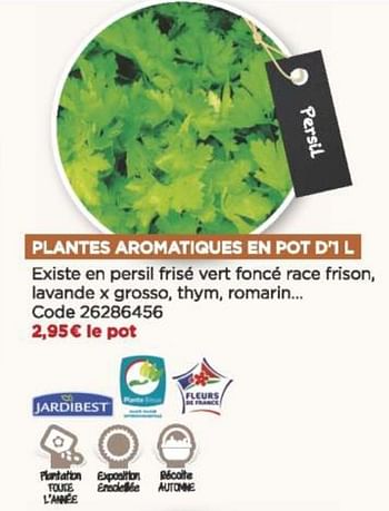 Promotions Plantes aromatiques en pot d`i l - Jardibest - Valide de 08/09/2021 à 31/10/2021 chez Brico Marché
