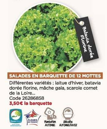 Promotions Salades en barquette de 12 mottes - Produit Maison - Brico Marché - Valide de 08/09/2021 à 31/10/2021 chez Brico Marché