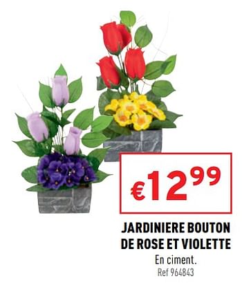Promotions Jardiniere bouton de rose et violette - Produit maison - Trafic  - Valide de 29/09/2021 à 03/10/2021 chez Trafic