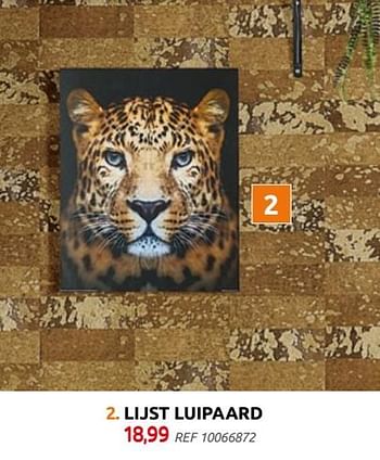 Promoties Lijst luipaard - Huismerk - BricoPlanit - Geldig van 29/09/2021 tot 25/10/2021 bij BricoPlanit