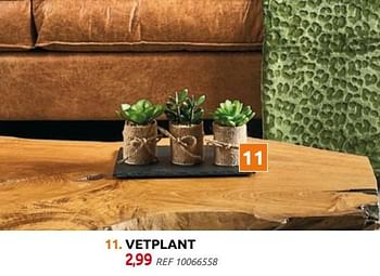 Promoties Vetplant - Huismerk - BricoPlanit - Geldig van 29/09/2021 tot 25/10/2021 bij BricoPlanit