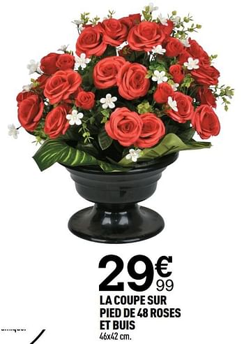 Produit Maison - Centrakor La coupe sur pied de 48 roses et buis - En  promotion chez Centrakor