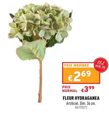 Promotions Fleur hydraganea - Produit maison - Trafic  - Valide de 13/10/2021 à 17/10/2021 chez Trafic