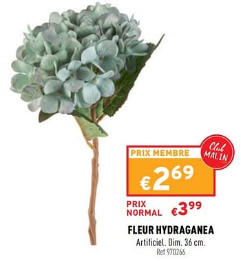 Promotions Fleur hydraganea - Produit maison - Trafic  - Valide de 13/10/2021 à 17/10/2021 chez Trafic