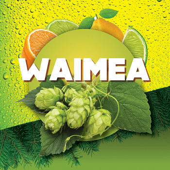 Promotions Hopkorrels Waimea - 1 kg - Brewferm - Valide de 22/10/2021 à 25/09/2022 chez Brouwland