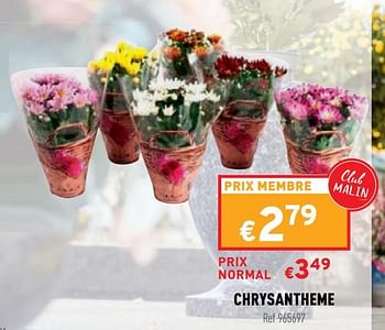 Promotions Chrysantheme - Produit maison - Trafic  - Valide de 27/10/2021 à 31/10/2021 chez Trafic