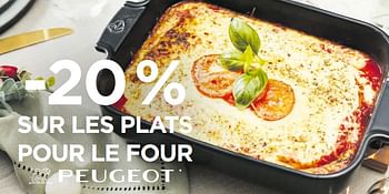 Promotions -20% sur les plats pour le four peugeot - Peugeot - Valide de 01/11/2021 à 30/11/2021 chez Molecule