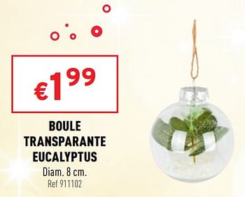 Promotions Boule transparante eucalyptus - Produit maison - Trafic  - Valide de 17/11/2021 à 05/12/2021 chez Trafic