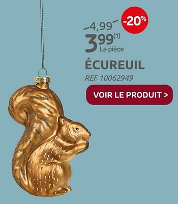Promotions Écureuil - Produit maison - Brico - Valide de 01/12/2021 à 03/01/2022 chez Brico