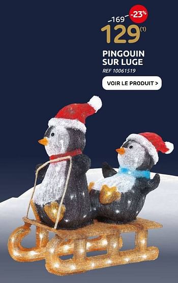 Promotions Pingouin sur luge - Produit maison - Brico - Valide de 01/12/2021 à 03/01/2022 chez Brico