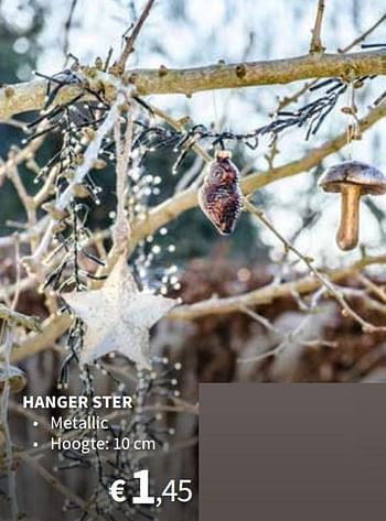 Promotions Hanger ster - Produit maison - Horta - Valide de 03/11/2021 à 25/12/2021 chez Horta