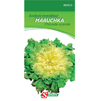 Promotions Sachet graines chicorée scarole Somers 'Maruchka' - Somers - Valide de 13/04/2021 à 27/04/2021 chez Brico