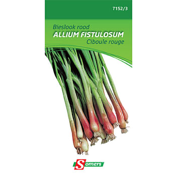 Promotions Sachet graines ciboulette rouge Somers 'Allium Schoenoprasum' - Somers - Valide de 13/04/2021 à 27/04/2021 chez Brico