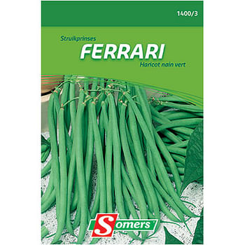 Promoties Sachet graines haricot nain vert Somers 'Ferrari' - Somers - Geldig van 13/04/2021 tot 27/04/2021 bij Brico