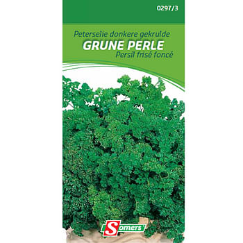 Promoties Sachet graines persil frisé foncé Somers 'Grune perle' - Somers - Geldig van 13/04/2021 tot 27/04/2021 bij Brico