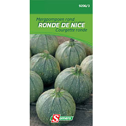 Sachet graines courgette ronde Somers 'Nice'
