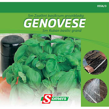 Promoties Somers basilicum 'Genovese' grootbladig zaailint 5 m - Somers - Geldig van 21/05/2021 tot 01/08/2023 bij Brico