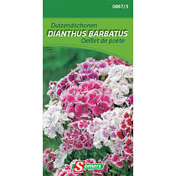 Somers zaad pakket duizendschonen 'Dianthus barbatus'
