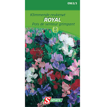 Promoties Somers zaad pakket klimmende ruikerwt 'Royal' - Somers - Geldig van 21/05/2021 tot 01/08/2023 bij Brico